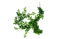 038 Veštačke lozice lijane